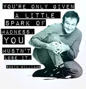 spark-of-madness-robin-williams